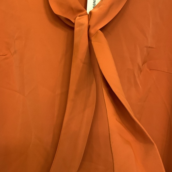 Beautiful rust color blouse, perfect for fall, brand new. - Picture 6 of 8